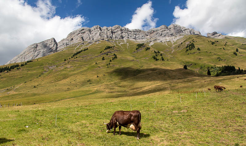 Col des Aravis France Dorsetcamera