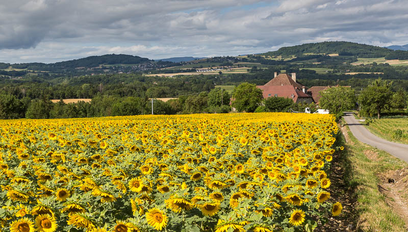 Choisy France Dorsetcamera