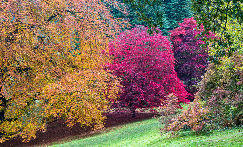 Stourhead autumn National Trust Wiltshire Dorsetcamera