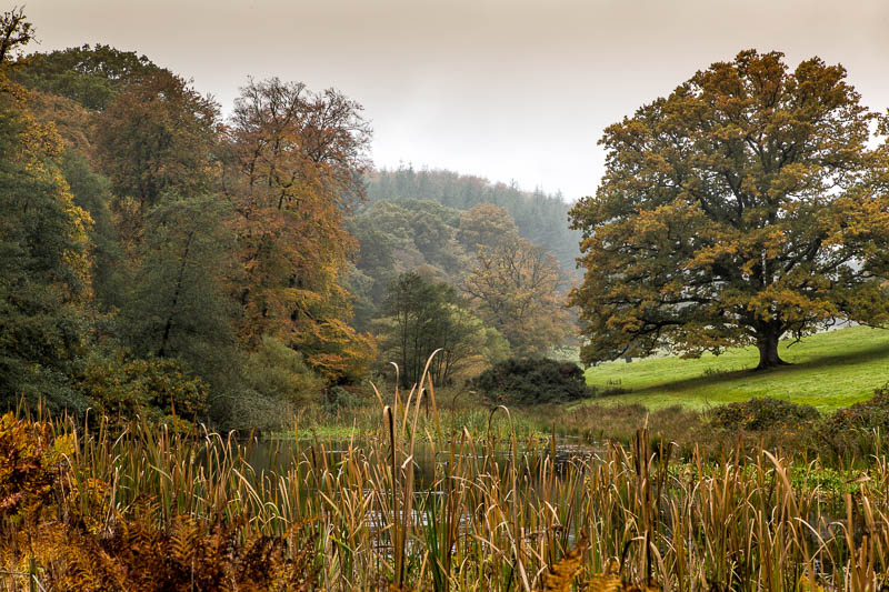 Stourhead autumn National Trust Wiltshire Dorsetcamera