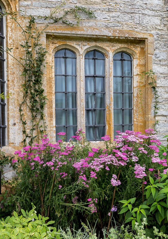 Lytes Cary Somerset Dorsetcamera National Trust
