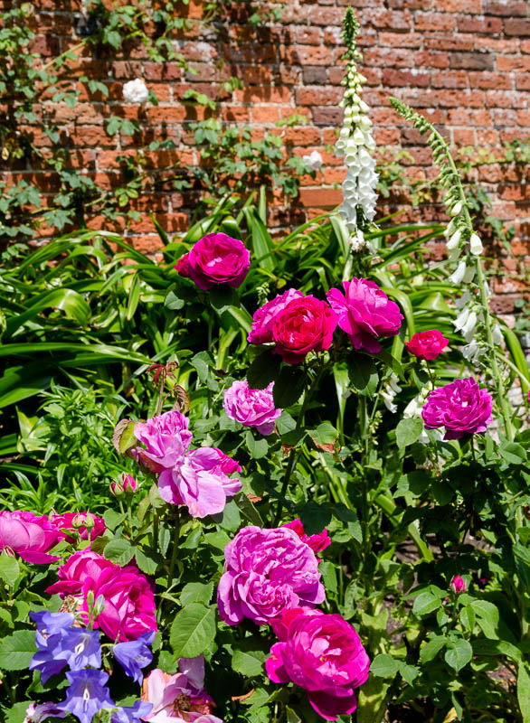 Mottisfont, Hampshire, Dorsetcamera