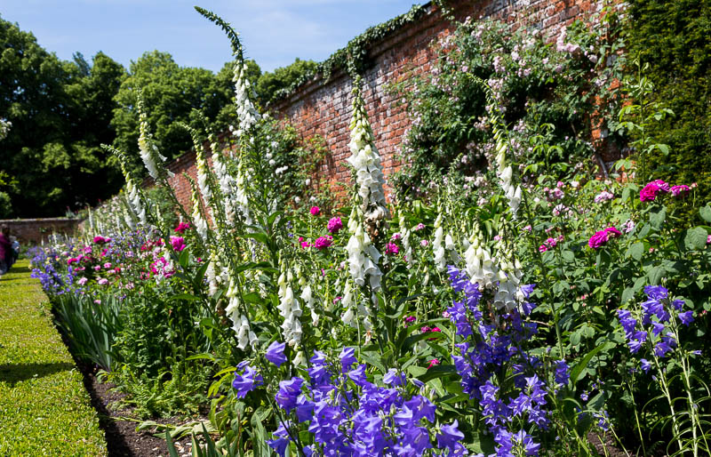 Mottisfont, Hampshire, Dorsetcamera