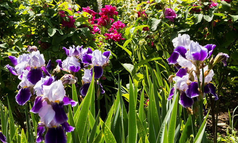 Mottisfont, Hampshire, Dorsetcamera