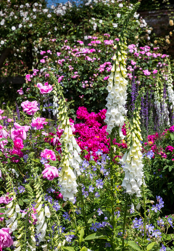 Mottisfont, Hampshire, Dorsetcamera