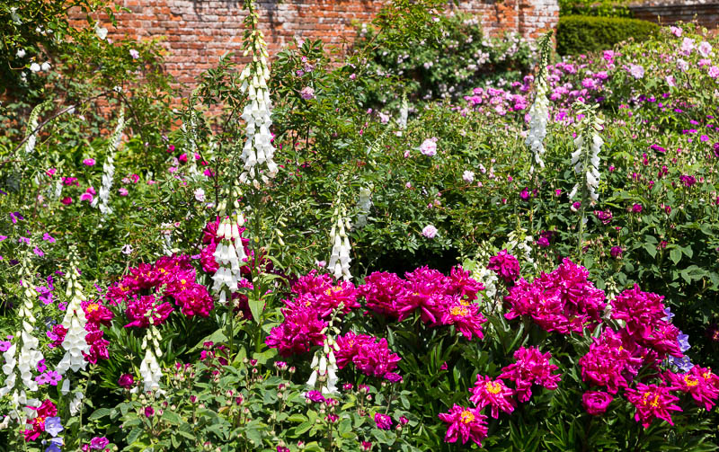Mottisfont, Hampshire, Dorsetcamera