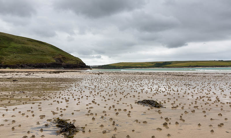 Daymer Bay Trebetherick Cornwall Dorsetcamera