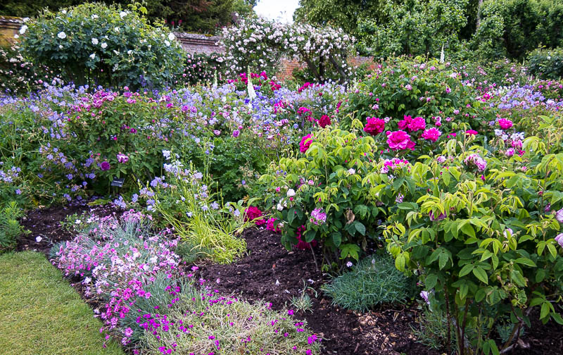 Mottisfont, Hampshire, Dorsetcamera