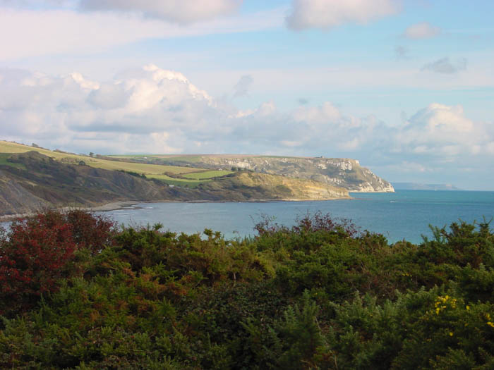 Black Head ledges Dorset Dorsetcamera  Coastal Pathe Walk