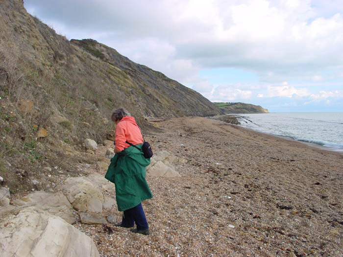 Black Head ledges Dorset Dorsetcamera  Coastal Pathe Walk