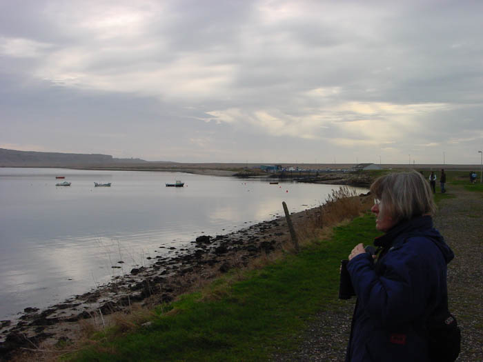 Portland harbour Dorset Dorsetcamera Coastal Path Walk