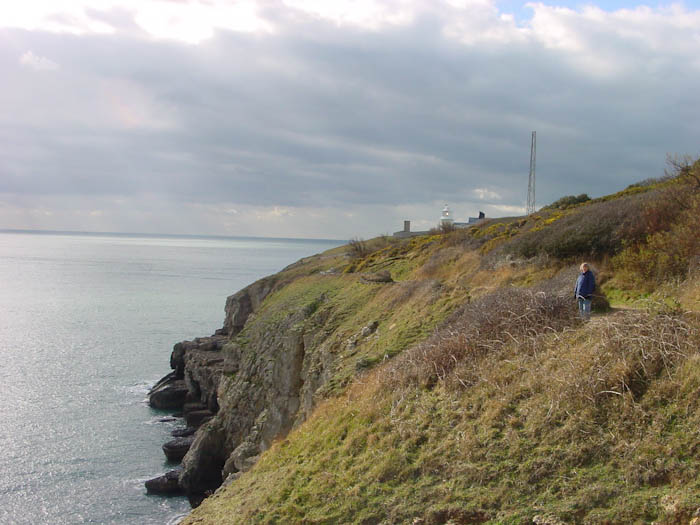 Dorsetcamera Durlston Coast Path walk