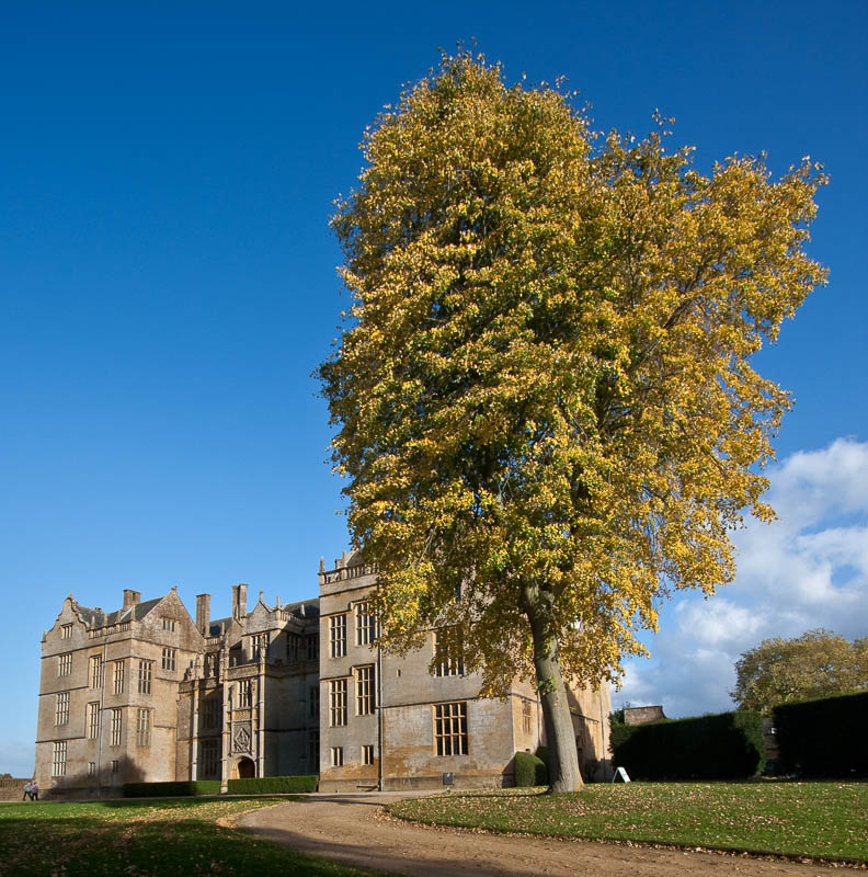 Montacute Somerset National Trust Dorsetcamera