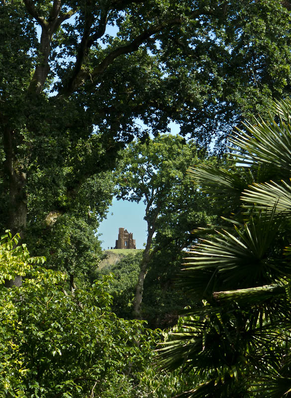 Sub-tropical gardens Abbotsbury Dorset Dorsetcamera