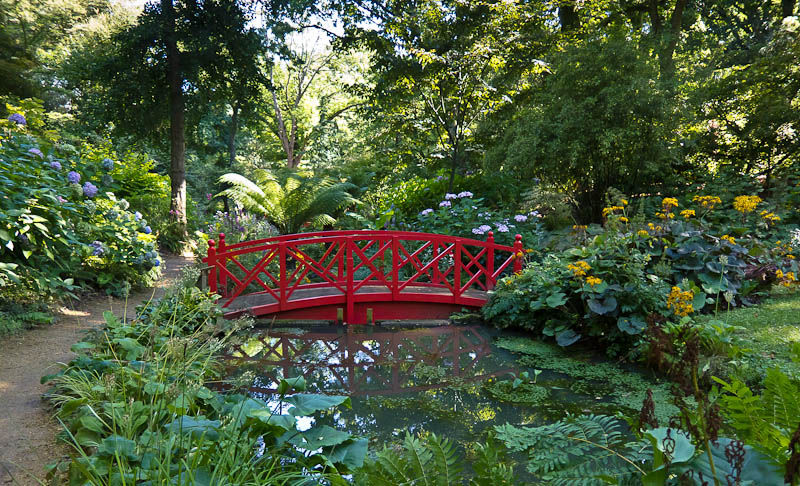 Sub-tropical gardens Abbotsbury Dorset Dorsetcamera