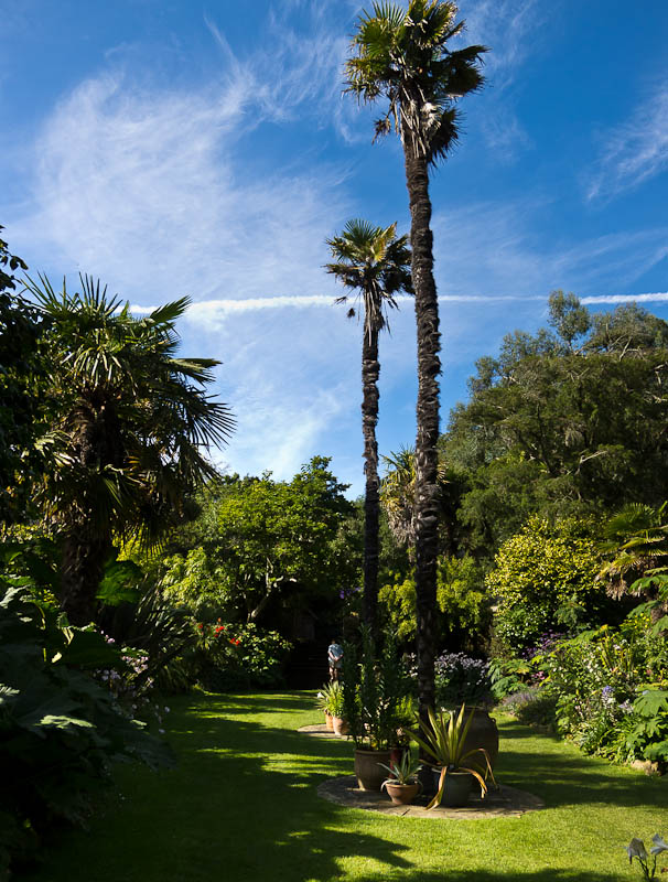 Sub-tropical gardens Abbotsbury Dorset Dorsetcamera