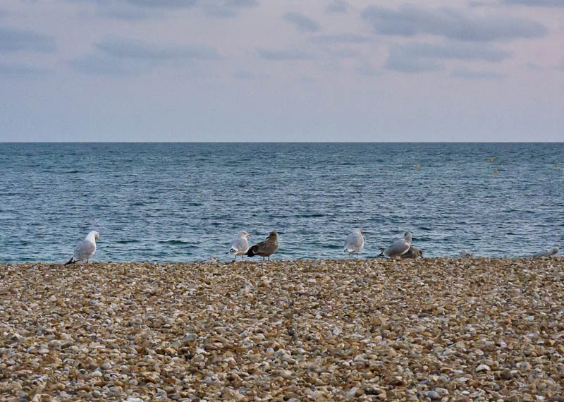 Lyme Regis Dorset Dorsetcamera