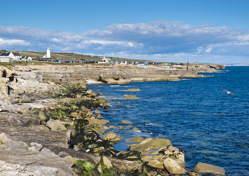 Portland Bill Dorset Dorsetcamera
