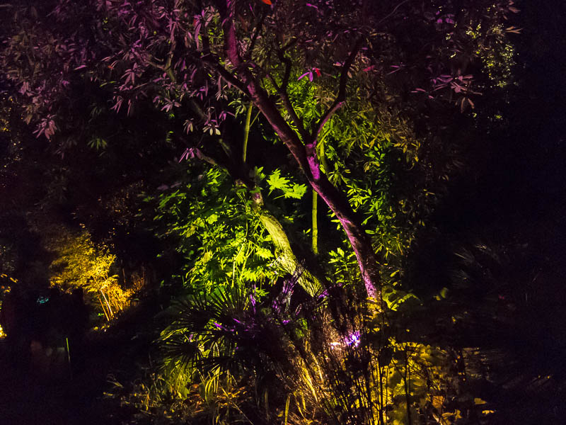 Abbotsbury gardens Dorset Dorsetcamera