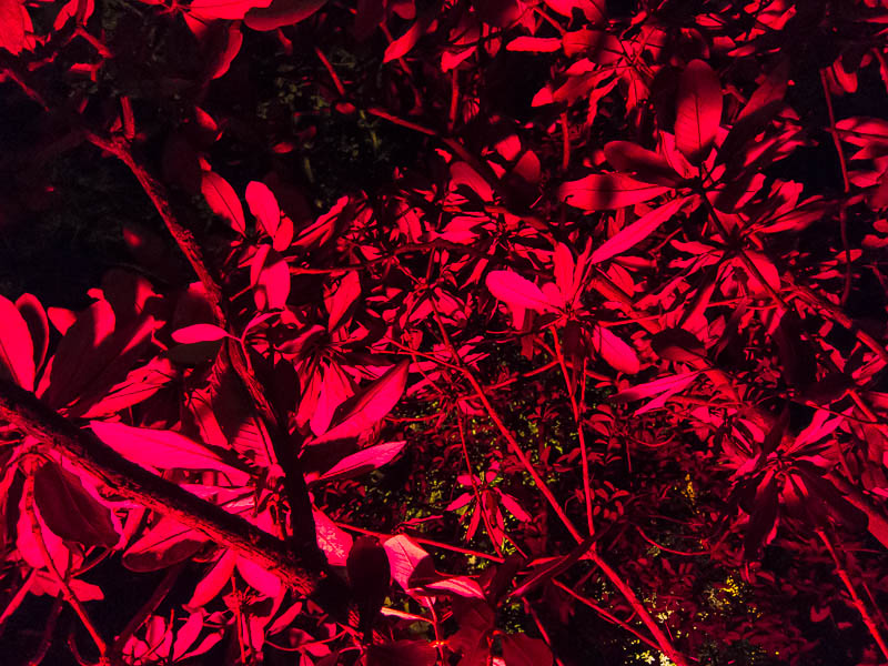 Abbotsbury gardens Dorset Dorsetcamera
