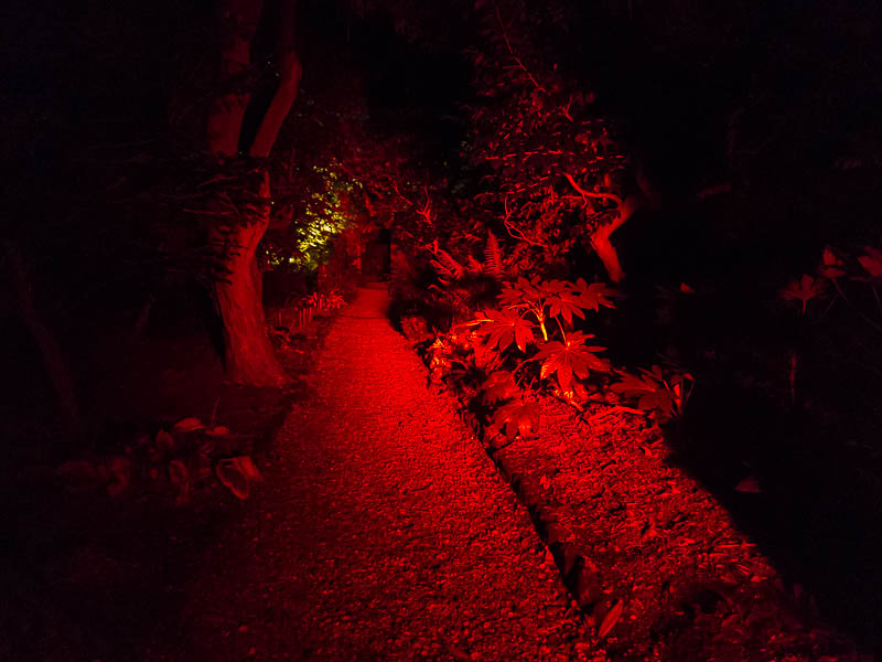 Abbotsbury gardens Dorset Dorsetcamera
