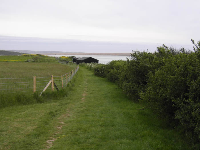 Fleet Dorset Dorsetcamera Coastal Path walk