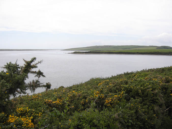 Fleet Dorset Dorsetcamera Coastal Path walk