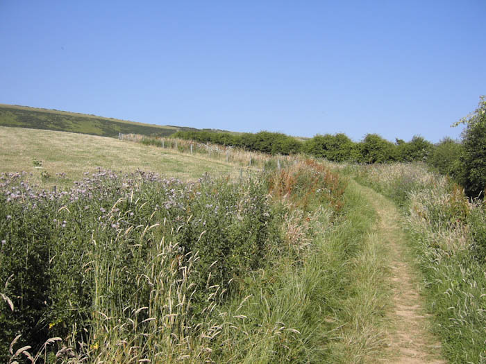 Dorsetcamera Swanage Coastpath  Walk