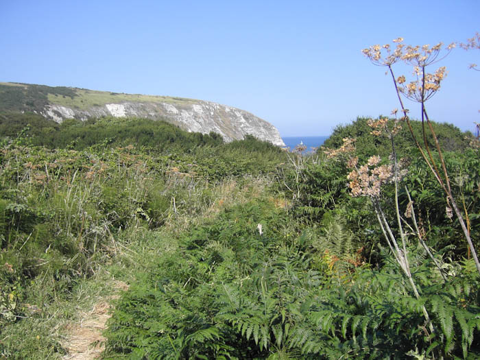 Dorsetcamera Swanage Coastpath  Walk
