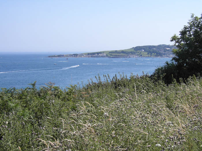 Dorsetcamera Swanage Coastpath  Walk