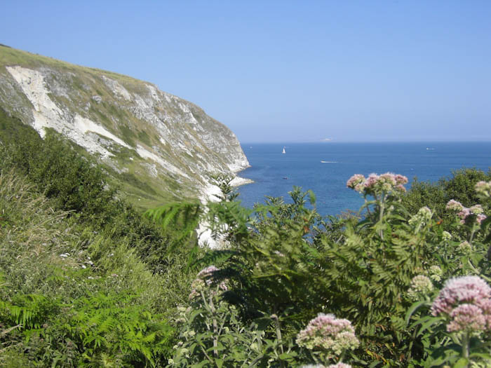 Dorsetcamera Swanage Coastpath  Walk