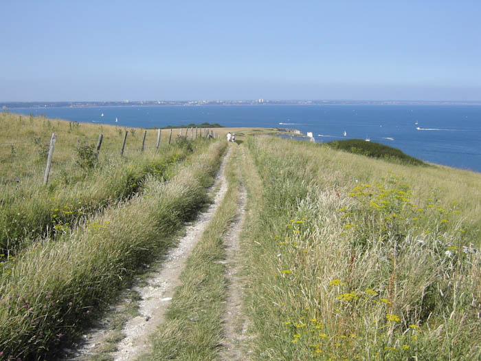 Dorsetcamera Swanage Coastpath  Walk