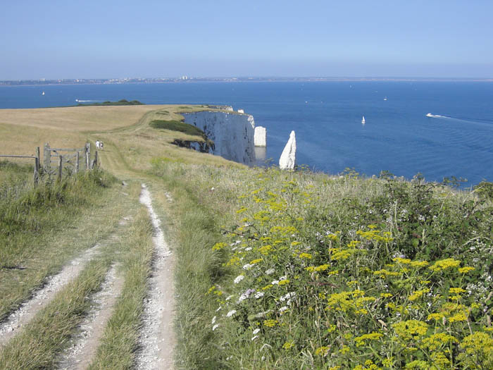 Dorsetcamera Swanage Coastpath  Walk