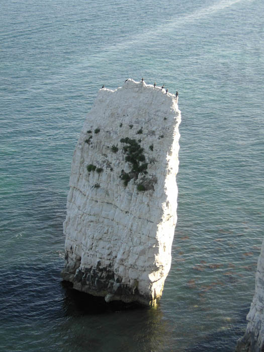 Old Harry Dorsetcamera Swanage Coastpath  Walk
