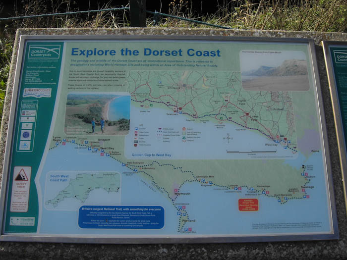 Seatown Dorset Dorsetcamera  Coastal Path Walk