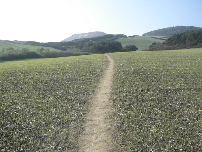 Seatown Dorset Dorsetcamera  Coastal Path Walk