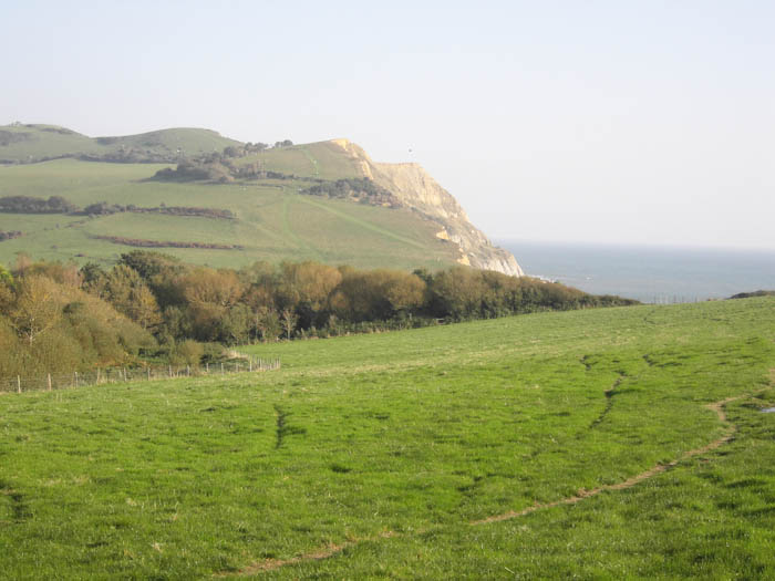 Seatown Dorset Dorsetcamera  Coastal Path Walk