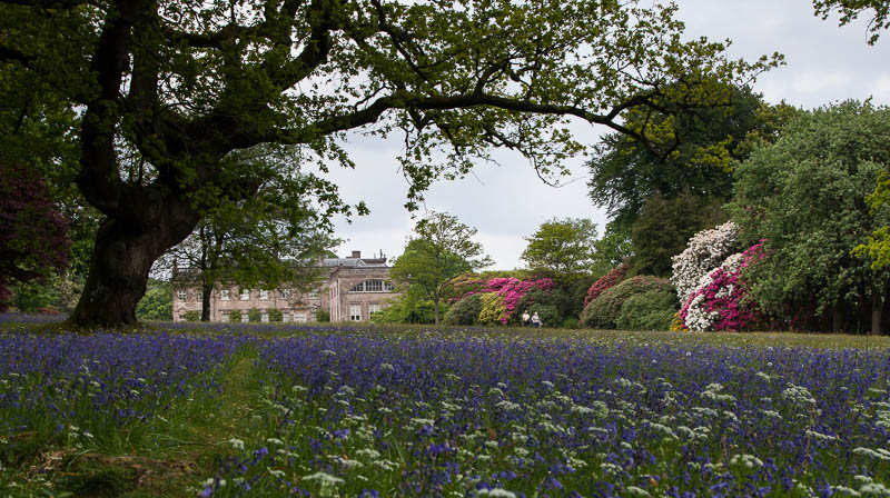 Stourhead spring National Trust Wiltshire Dorsetcamera