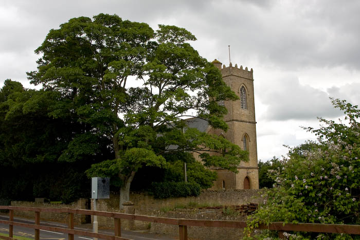 Ash Somerset