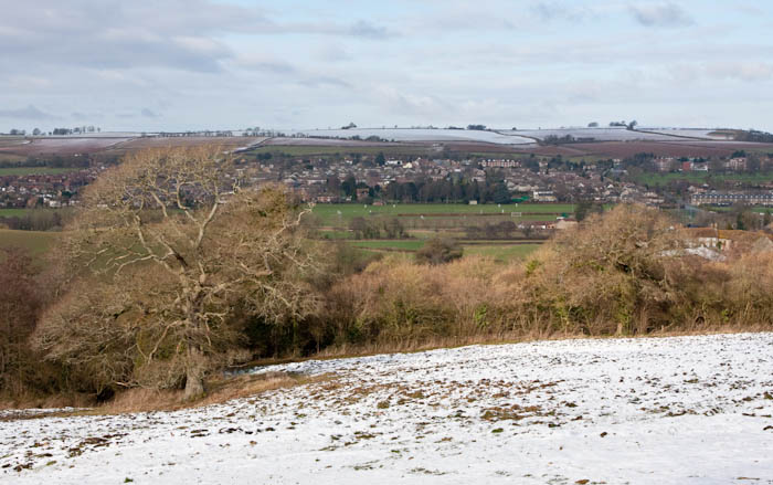 Sherborne Dorset Dorsetcamera