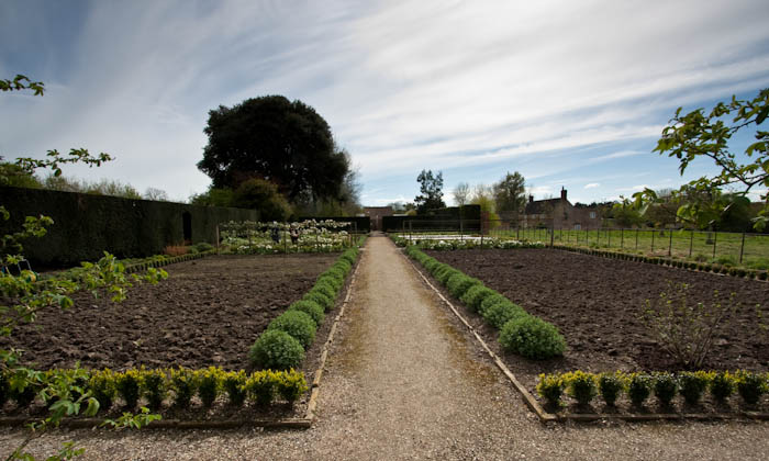 Tintinhull Gardens Somerset Dorsetcamera