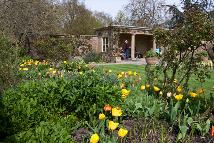 Tintinhull Gardens Somerset Dorsetcamera
