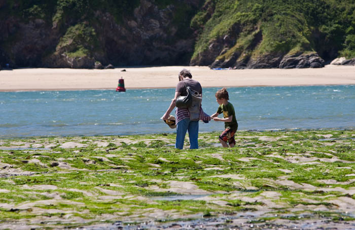 Rock Cornwall Dorsetcamera