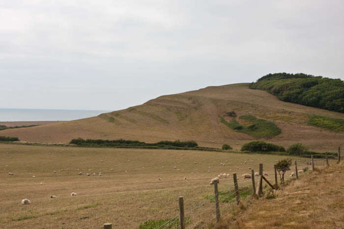 Abbotsbury Dorset Coast Path Dorsetcamera