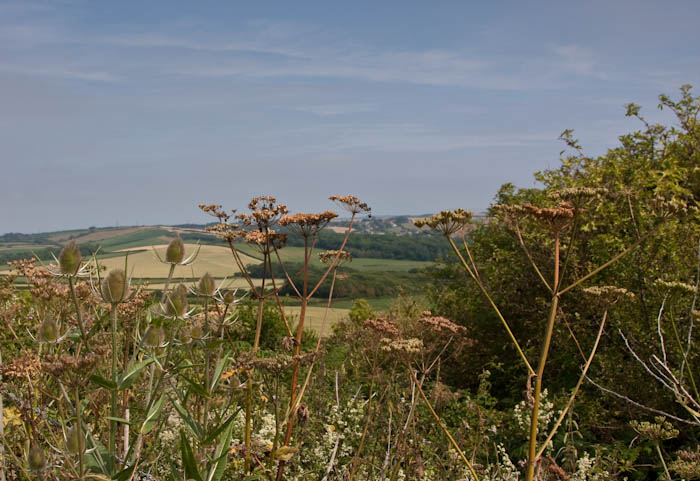 Abbotsbury Dorset Coast Path Dorsetcamera