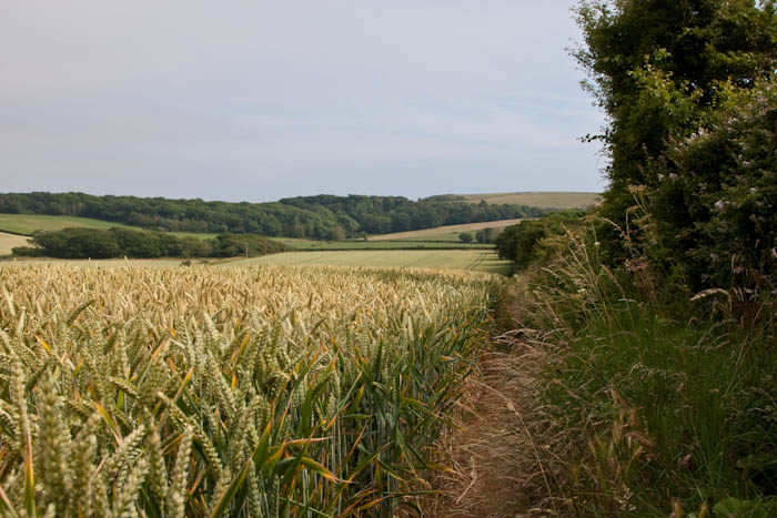 Abbotsbury Dorset Coast Path Dorsetcamera