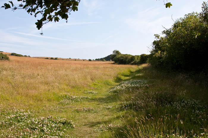 Langton Herring Dorset Coast Path Dorsetcamera