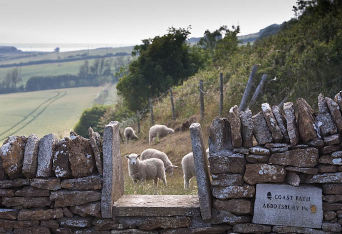 Abbotsbury Dorset Coast Path Dorsetcamera