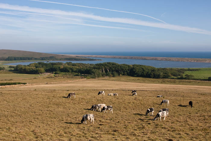Abbotsbury Dorset Coast Path Dorsetcamera