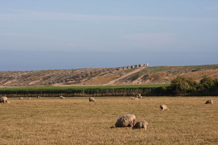 Abbotsbury Dorset Coast Path Dorsetcamera